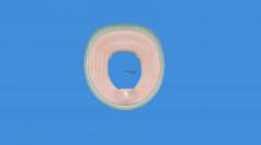 EPP Toilet Seat for Children